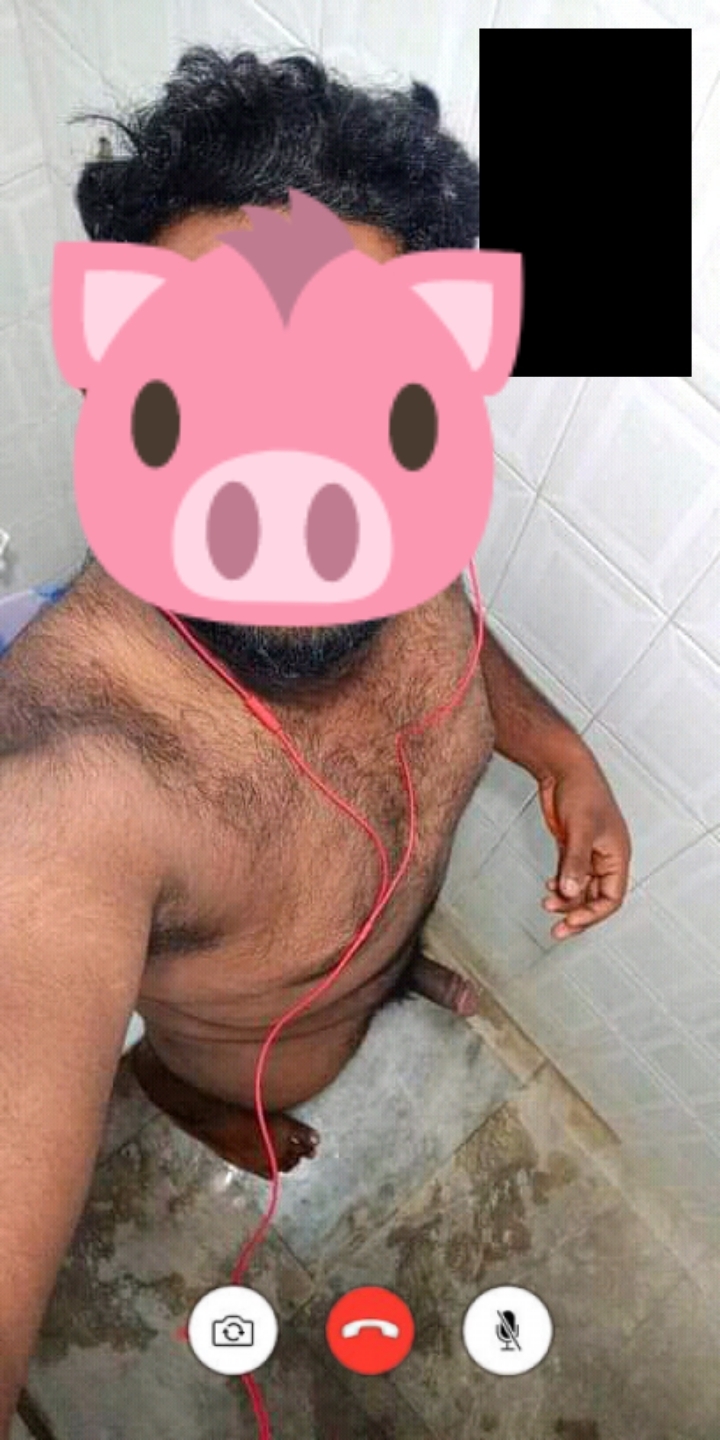 My New Indian Toilet Pig.